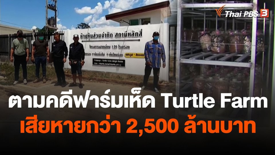 สถานีร้องเรียน : ตามคดีฟาร์มเห็ด Turtle Farm เสียหายกว่า 2,500 ล้านบาท