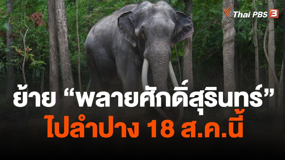 เตรียมย้าย  พลายศักดิ์สุรินทร์  ไปลำปาง 18 ส.ค.นี้