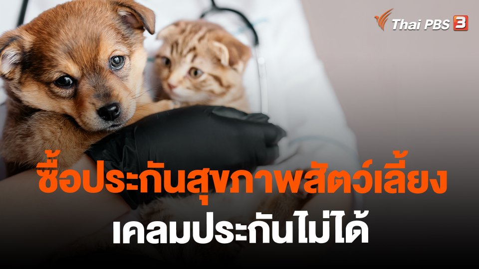 ​สถานีร้องเรียน : ซื้อประกันสุขภาพสัตว์เลี้ยง เคลมประกันไม่ได้