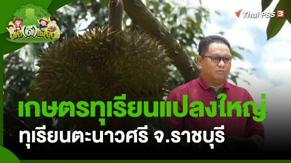 พอดีพอเพียง : เกษตรทุเรียนแปลงใหญ่ ทุเรียนตะนาวศรี จ.ราชบุรี