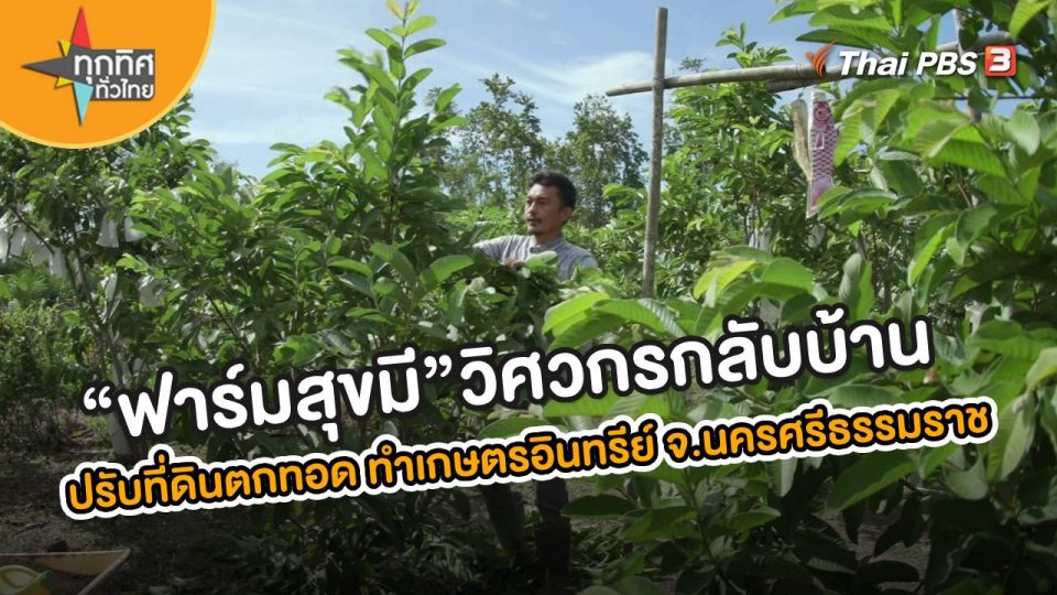 ​อาชีพทั่วไทย : “ฟาร์มสุขมี” วิศวกรกลับบ้าน ปรับที่ดินตกทอด ทำเกษตรอินทรีย์ จ.นครศรีธรรมราช