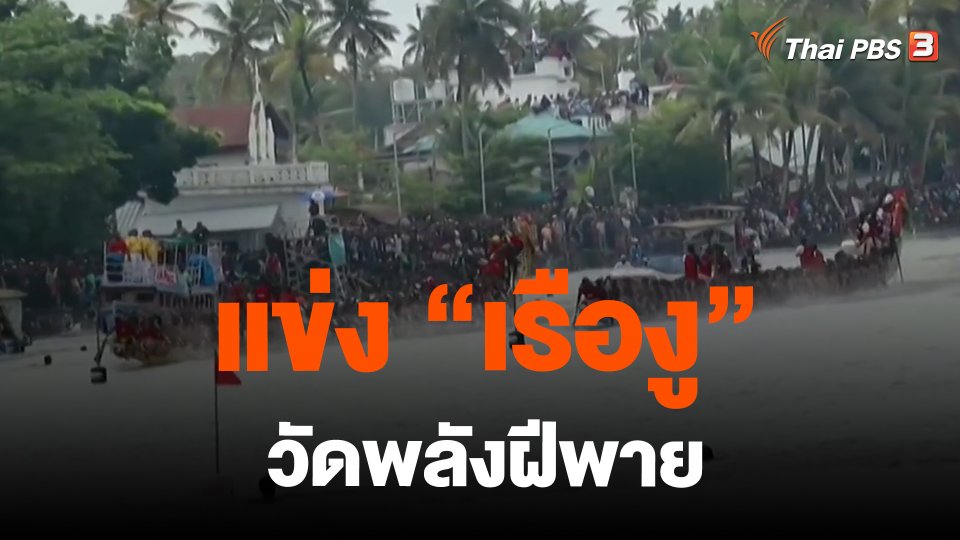 แข่ง "เรืองู" วัดพลังฝีพาย