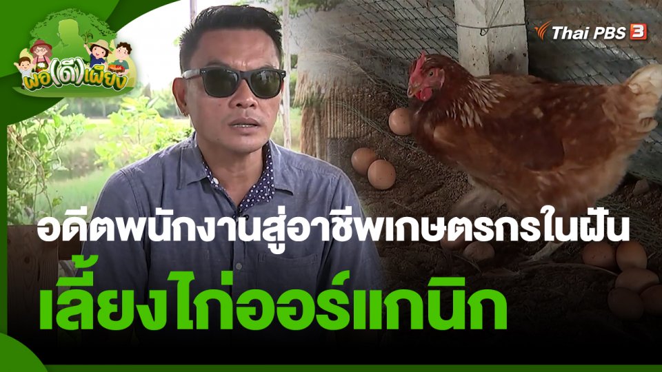 พอดีพอเพียง : อดีตพนักงานประจำผันตัวสู่อาชีพเกษตรกรในฝัน เลี้ยงไก่ออร์แกนิก