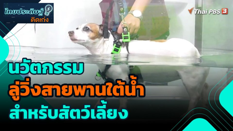 ​ไทยประดิษฐ์คิดเก่ง : นวัตกรรมลู่วิ่งสายพานใต้น้ำสำหรับสัตว์เลี้ยง