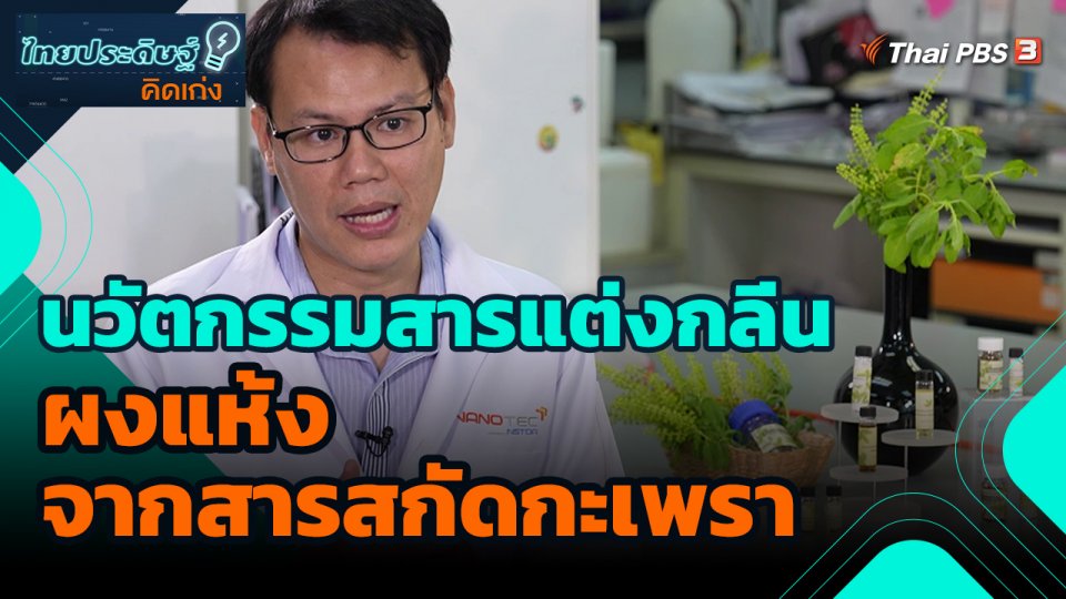 ​ไทยประดิษฐ์คิดเก่ง : นวัตกรรมสารแต่งกลิ่นผงแห้งจากสารสกัดกะเพรา
