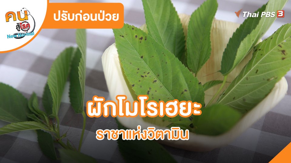 ผักโมโรเฮยะ ราชาแห่งวิตามิน