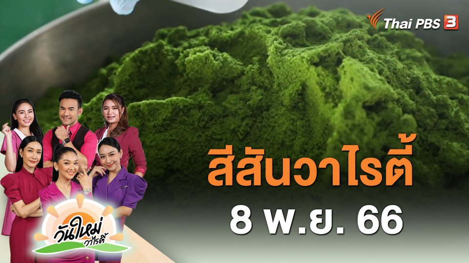 ​สีสันวาไรตี้ (8 พ.ย. 66)