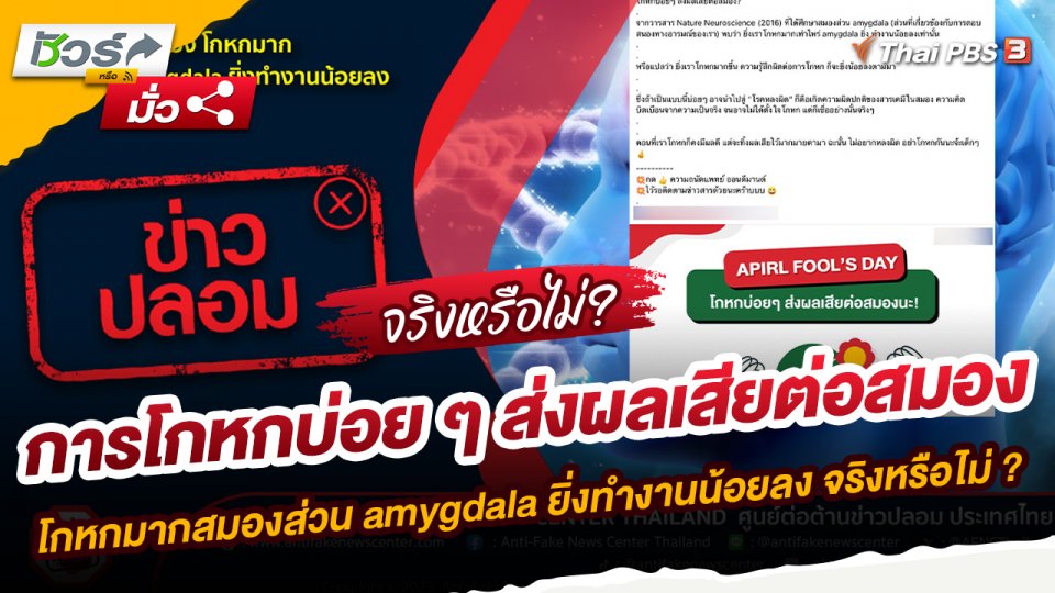 ข่าวปลอม : การโกหกบ่อย ๆ ส่งผลเสียต่อสมอง โกหกมากสมองส่วน amygdala ยิ่งทำงานน้อยลง