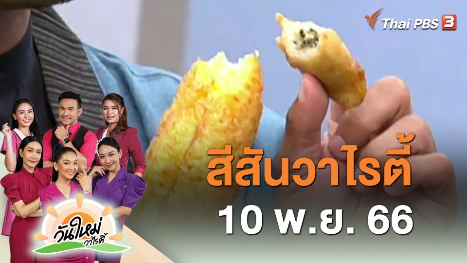 ​สีสันวาไรตี้ (10 พ.ย. 66)