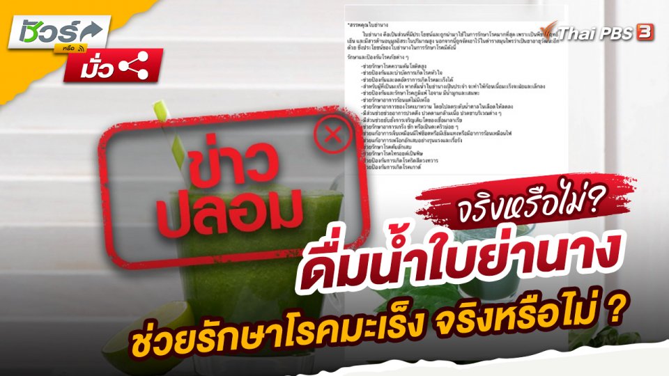 ข่าวปลอม : ดื่มน้ำใบย่านางช่วยรักษาโรคมะเร็ง