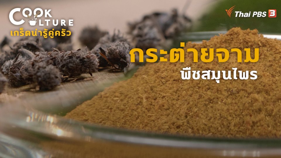 ​เกร็ดน่ารู้คู่ครัว : กระต่ายจาม