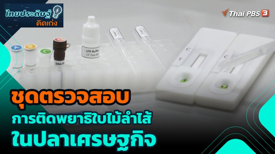 ชุดตรวจสอบการติดพยาธิใบไม้ลำไส้ในปลาเศรษฐกิจ