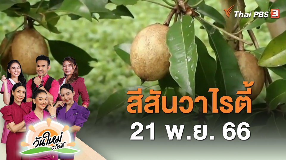 สีสันวาไรตี้ (21 พ.ย. 66)