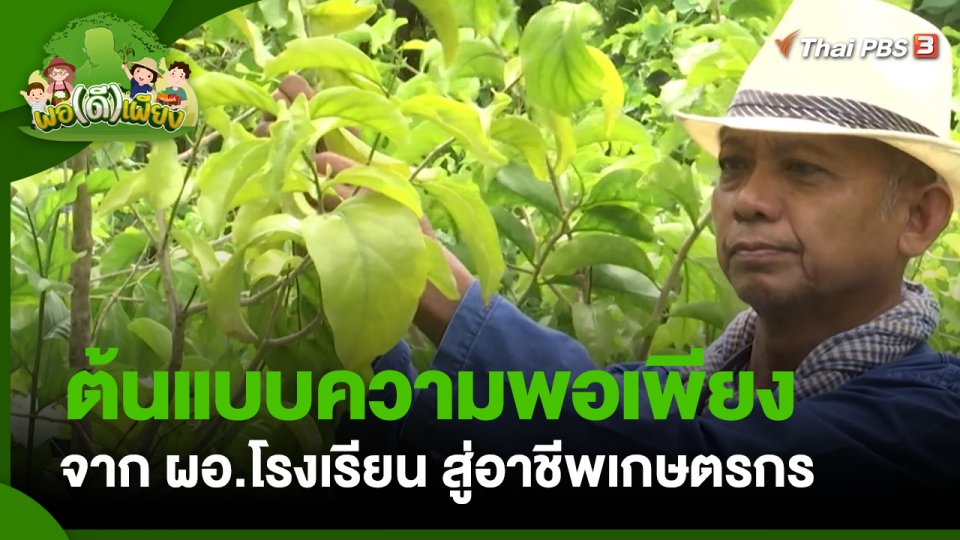 พอดีพอเพียง : ต้นแบบความพอเพียง จาก ผอ.โรงเรียน สู่อาชีพเกษตรกร