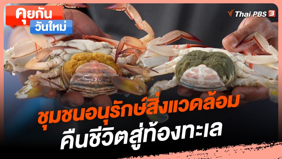 คุยกันวันใหม่ : ชุมชนอนุรักษ์สิ่งแวดล้อม คืนชีวิตสู่ท้องทะเล