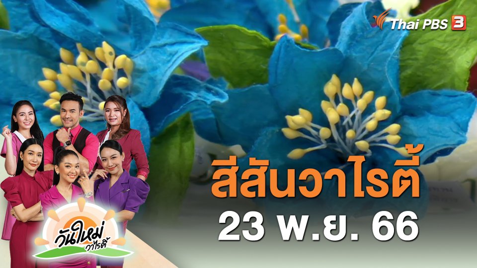 สีสันวาไรตี้ (23 พ.ย. 66)