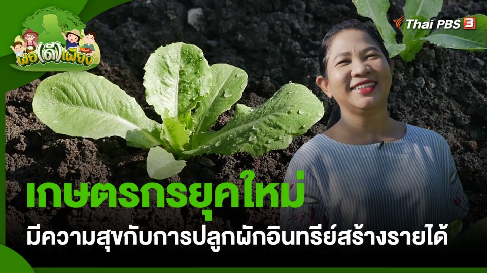 พอดีพอเพียง : เกษตรกรยุคใหม่ มีความสุขกับการปลูกผักอินทรีย์สร้างรายได้
