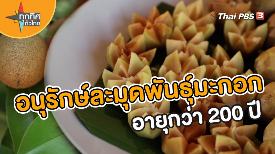อาชีพทั่วไทย : อนุรักษ์ละมุดพันธุ์มะกอก อายุกว่า 200 ปี