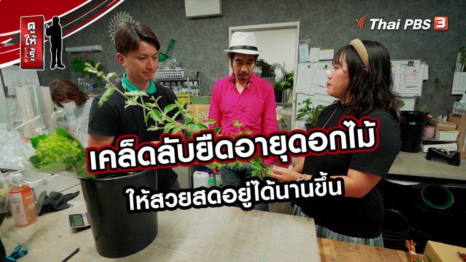 ​รู้ให้ลึกเรื่องญี่ปุ่น : เคล็ดลับยืดอายุดอกไม้ให้สวยสดอยู่ได้นานขึ้น