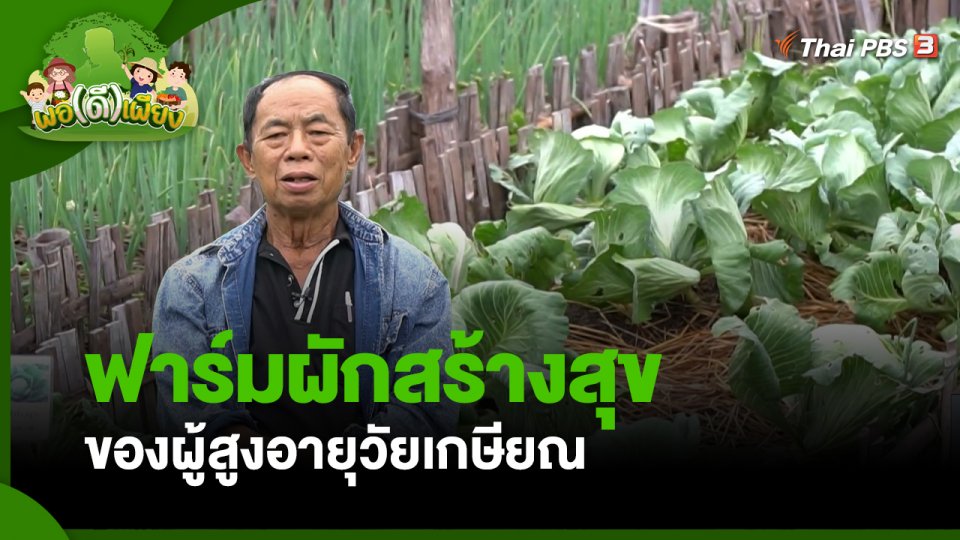พอดีพอเพียง : ฟาร์มผักสร้างสุข ของผู้สูงอายุวัยเกษียณ