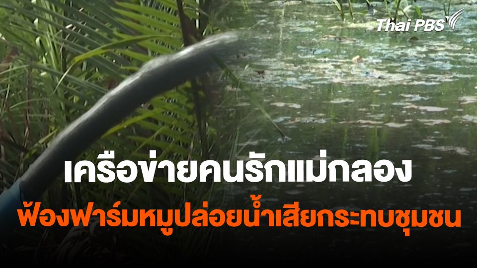 สถานีร้องเรียน : เครือข่ายคนรักแม่กลองฟ้องฟาร์มหมูปล่อยน้ำเสียกระทบชุมชน