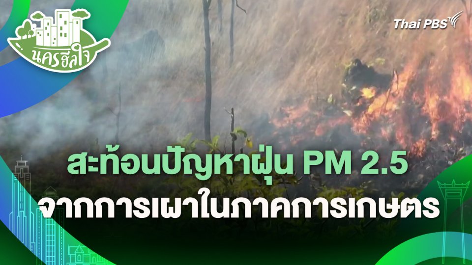 นครฮีลใจ : สะท้อนปัญหาฝุ่น PM 2.5 จากการเผาในภาคการเกษตร