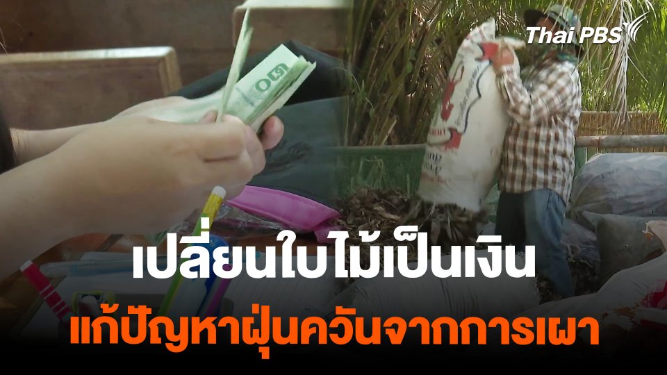 เปลี่ยนใบไม้เป็นเงิน แก้ปัญหาฝุ่นควันจากการเผา