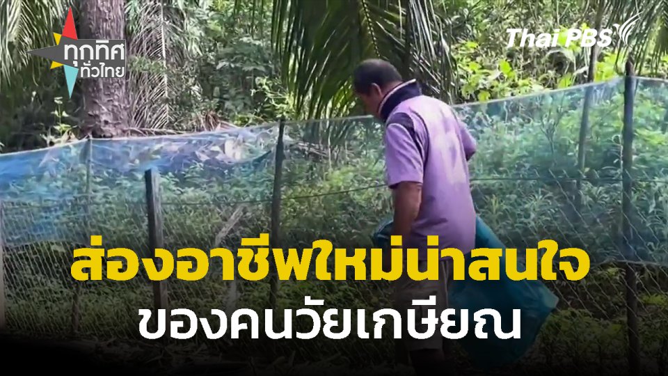 ส่องอาชีพใหม่น่าสนใจของคนวัยเกษียณ