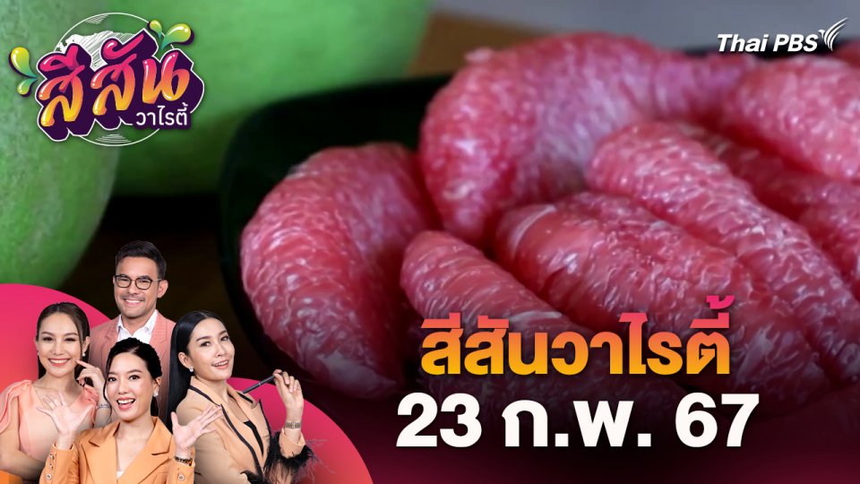 สีสันวาไรตี้ (23 ก.พ. 67)