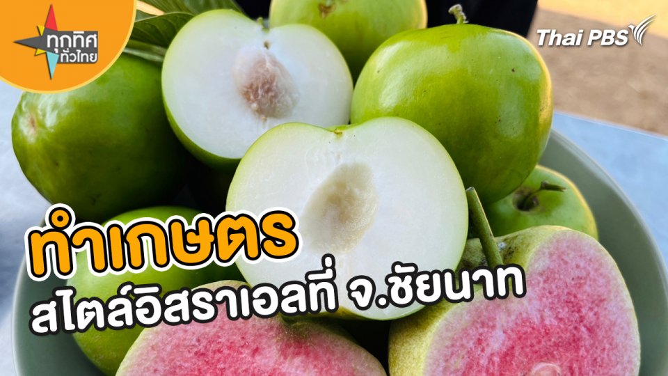 อาชีพทั่วไทย : นำการทำเกษตรแบบอิสราเอลปรับใช้ได้ผลดี จ.ชัยนาท