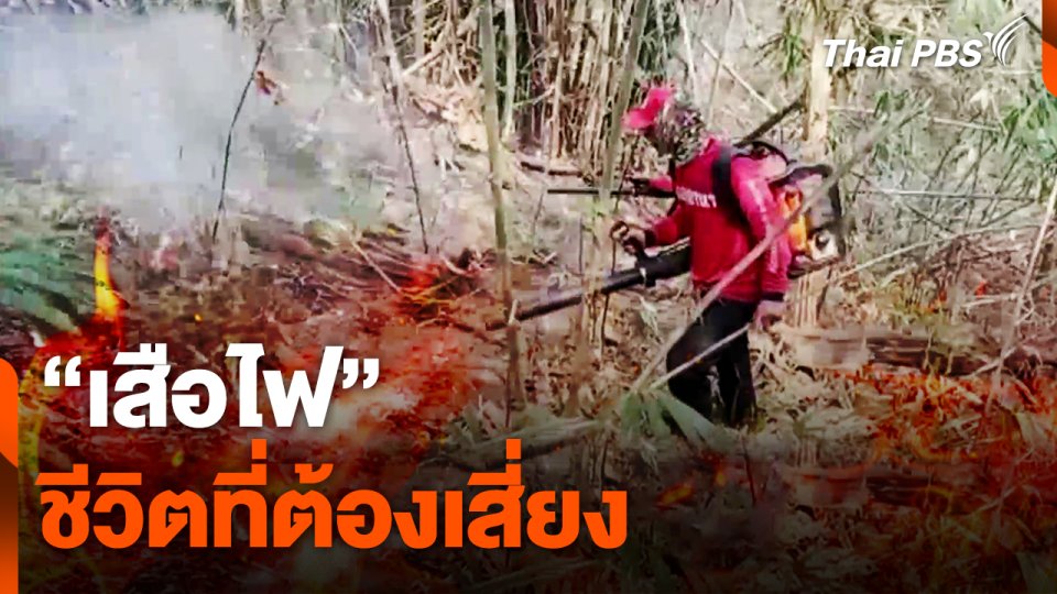 "เสือไฟ" ชีวิตที่ต้องเสี่ยง