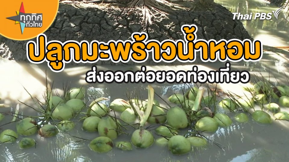 ปลูกมะพร้าวน้ำหอมส่งออกต่อยอดท่องเที่ยว
