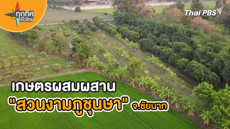 เกษตรผสมผสาน "สวนงามภูชุนษา" จ.ชัยนาท