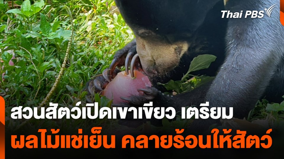 สวนสัตว์เปิดเขาเขียวจัดผลไม้แช่เย็น คลายร้อนให้สัตว์