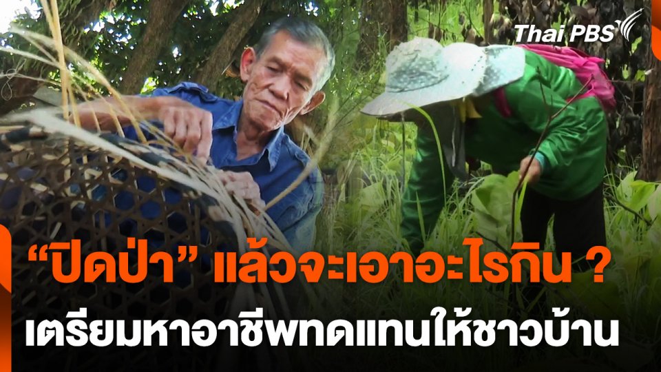 เข้ม "ปิดป่า" เตรียมหาอาชีพทดแทนให้ชาวบ้าน