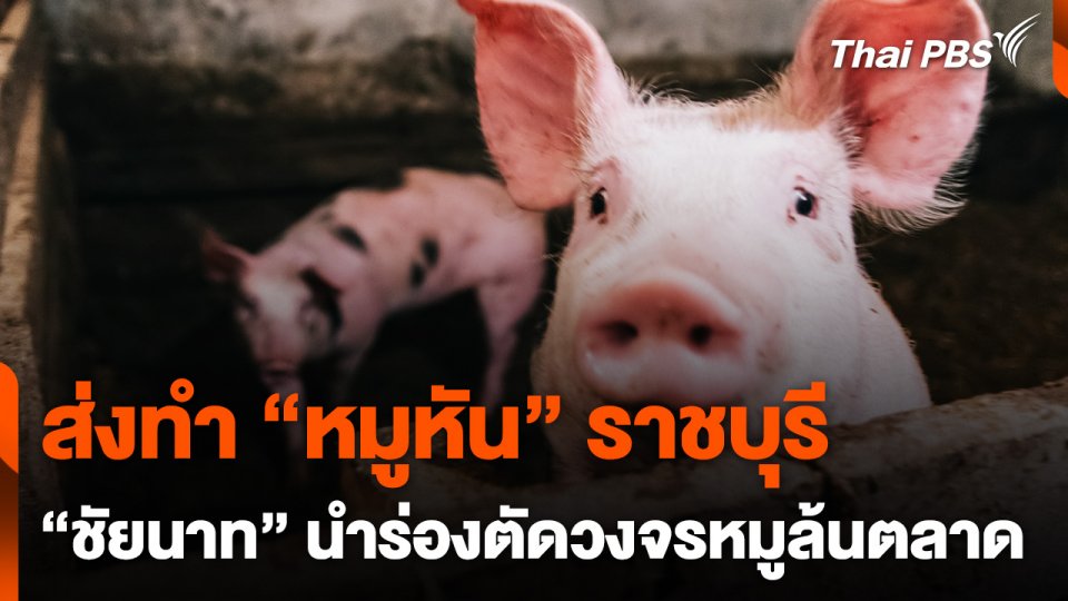 เริ่มระบายหมูส่วนเกินส่งร้านหมูหัน