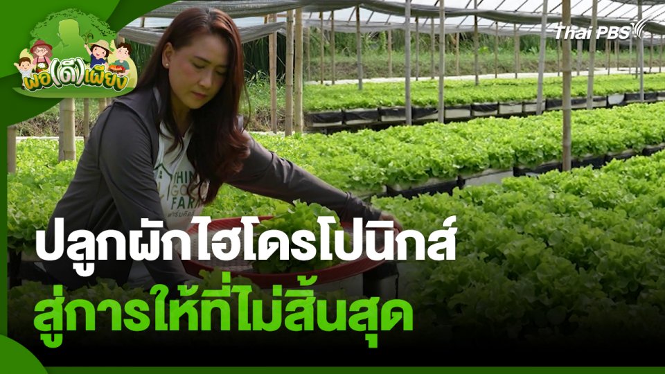 พอดีพอเพียง : ปลูกผักไฮโดรโปนิกส์ สู่การให้ที่ไม่สิ้นสุด
