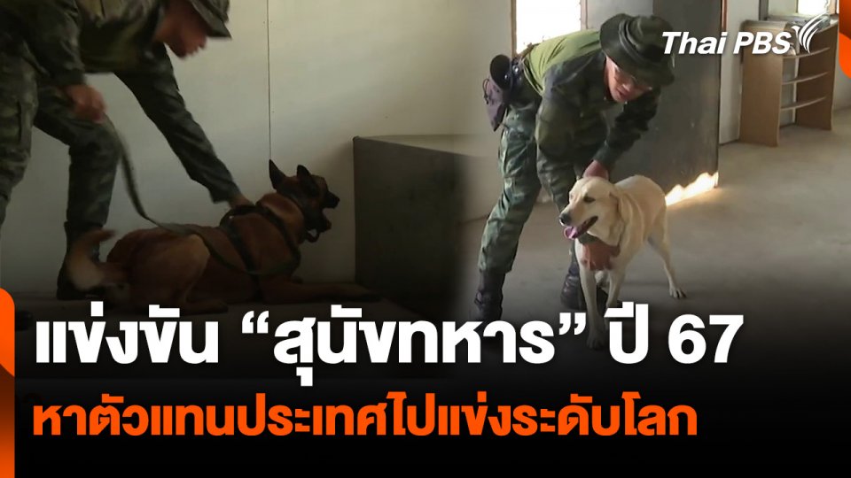 แข่งขัน “สุนัขทหาร” ปี 67 หาตัวแทนประเทศไปแข่งระดับโลก | จับตารอบทิศ
