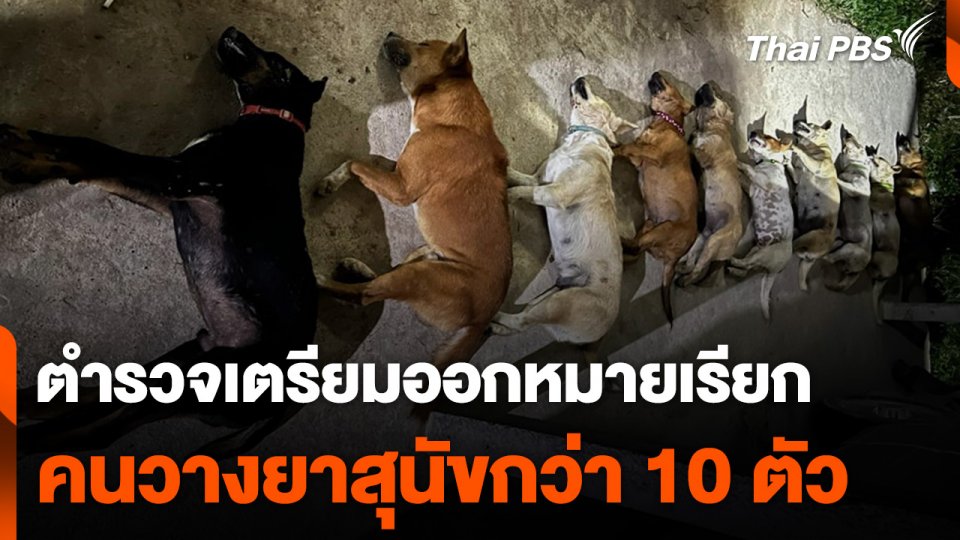 ตำรวจเตรียมออกหมายเรียกคนวางยาสุนัขกว่า 10 ตัว จ.ระยอง