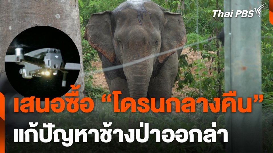 เสนอซื้อ "โดรนมองกลางคืน" แก้ปัญหาช้างป่าออกล่า
