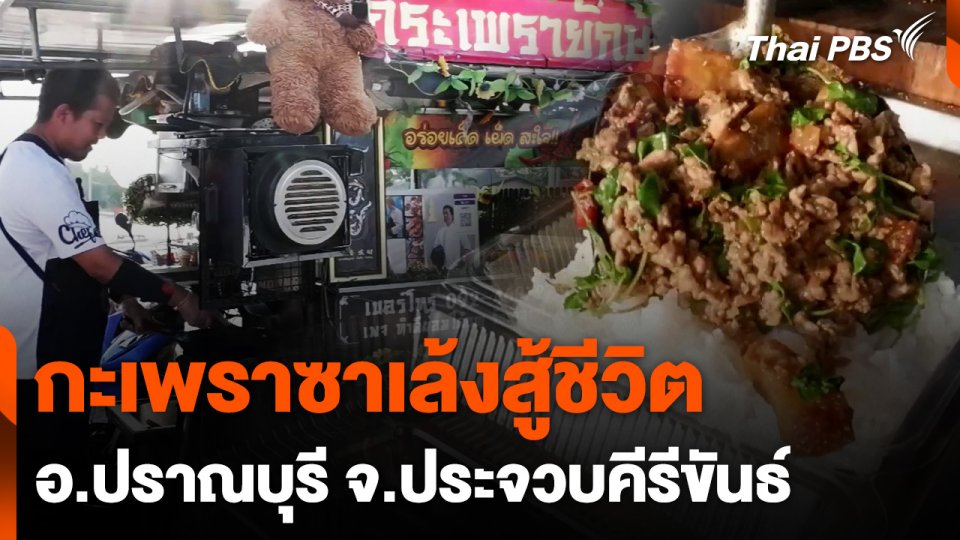 กะเพราซาเล้งสู้ชีวิต จ.ประจวบคีรีขันธ์