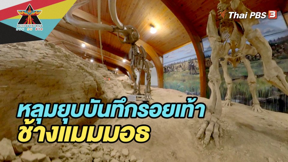 หลุมยุบบันทึกรอยเท้าช้างแมมมอธ