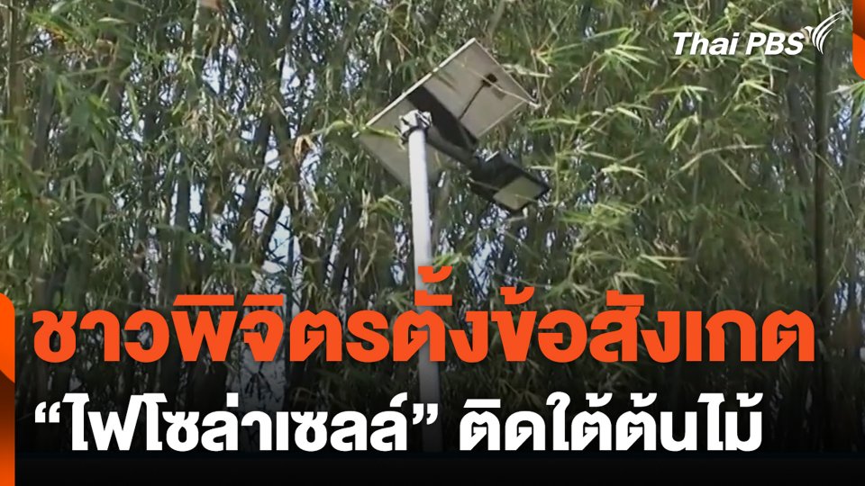 ชาวพิจิตรตั้งข้อสังเกต "ไฟโซล่าเซลล์" ติดใต้ต้นไม้