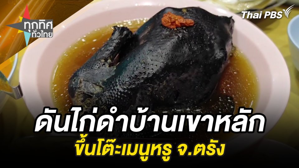 ดันไก่ดำบ้านเขาหลักขึ้นโต๊ะเมนูหรู จ.ตรัง