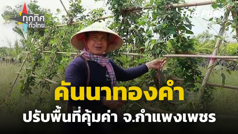คันนาทองคำปรับพื้นที่คุ้มค่า จ.กำแพงเพชร