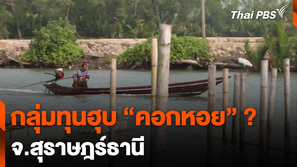 ร้องเรียนกลุ่มทุนใช้นอมินีครอบครองพื้นที่เลี้ยงหอย จ.สุราษฎร์ธานี