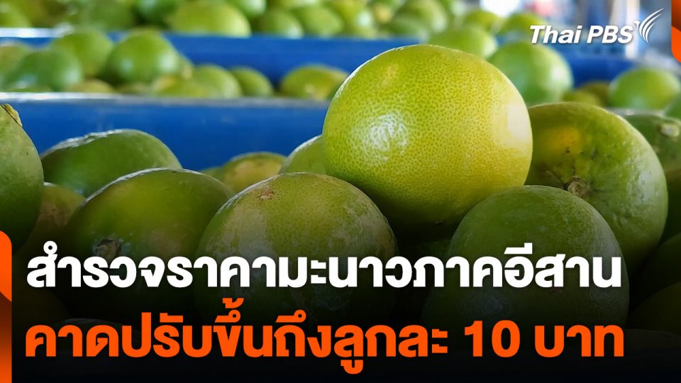 สำรวจราคามะนาวภาคอีสาน คาดปรับขึ้นถึงลูกละ 10 บาท