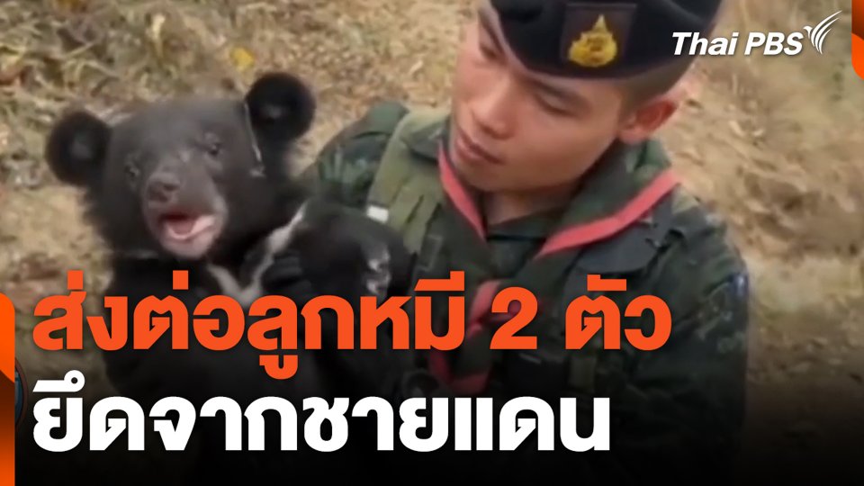 ส่งต่อลูกหมี 2 ตัว ยึดจากชายแดน
