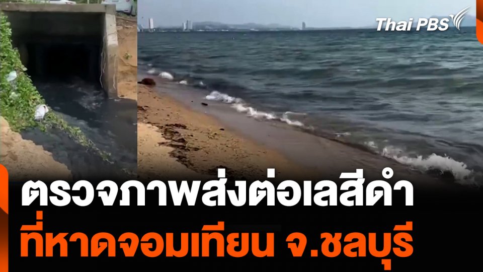 ตรวจภาพส่งต่อทะเลสีดำ ที่หาดจอมเทียน จ.ชลบุรี