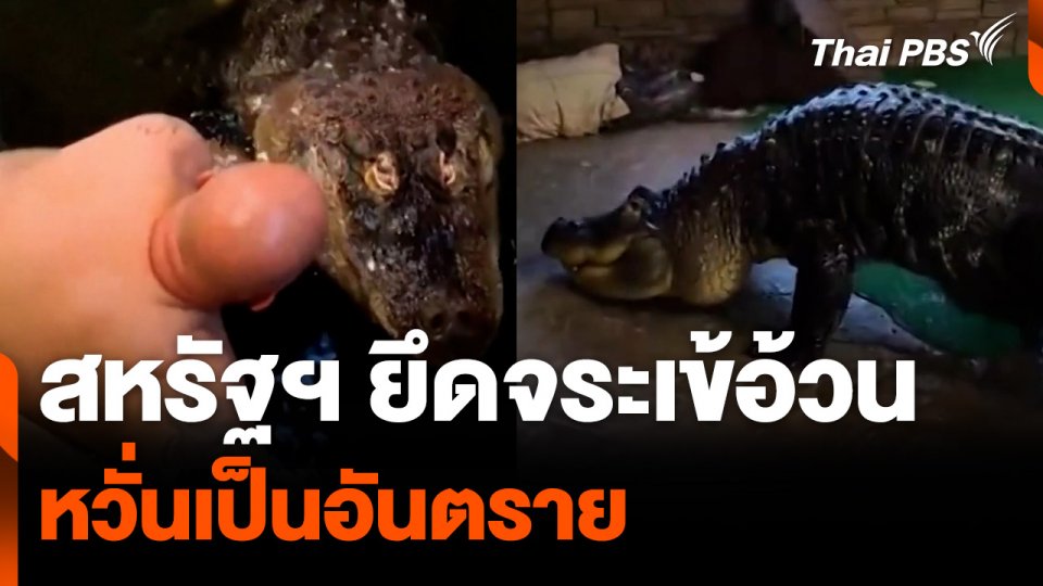 สหรัฐฯ ยึดจระเข้อ้วนหวั่นเป็นอันตราย